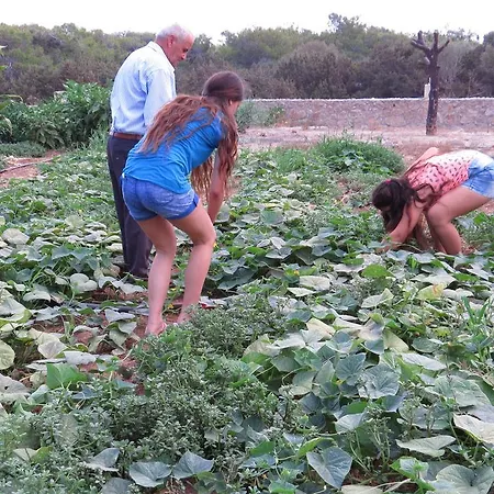 Elausa & Restaurant *