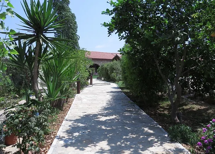 Elausa & Restaurant Resort *