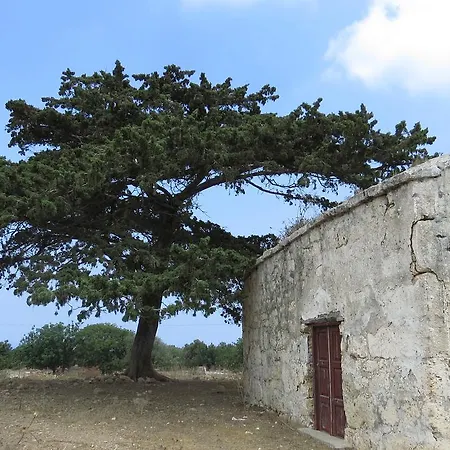 Elausa & Restaurant Resort *
