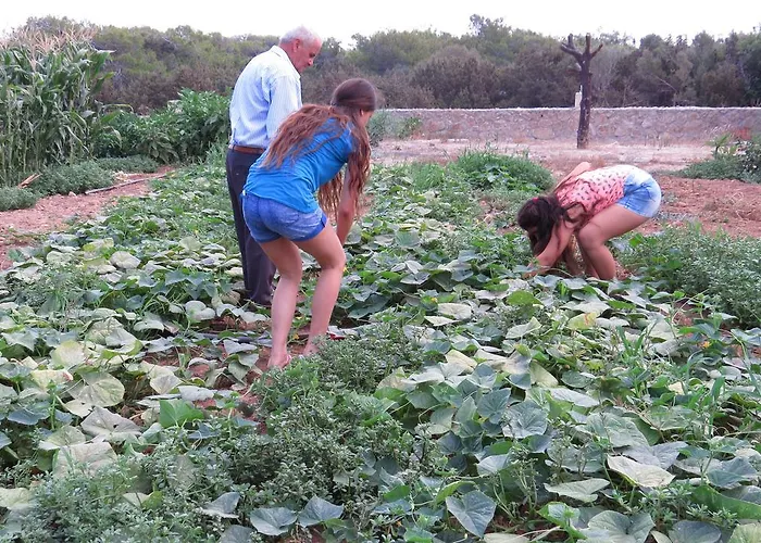 Elausa & Restaurant *