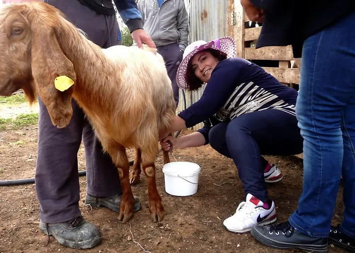 Elausa & Restaurant * Rizokarpaso